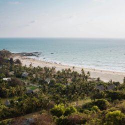 Breathtaking aerial view of Mandrem Beach in Goa, India, with palm trees and ocean.