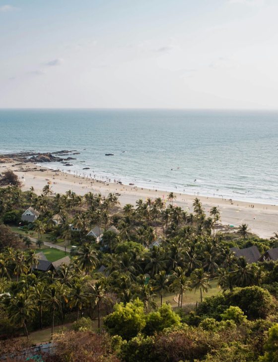 Breathtaking aerial view of Mandrem Beach in Goa, India, with palm trees and ocean.